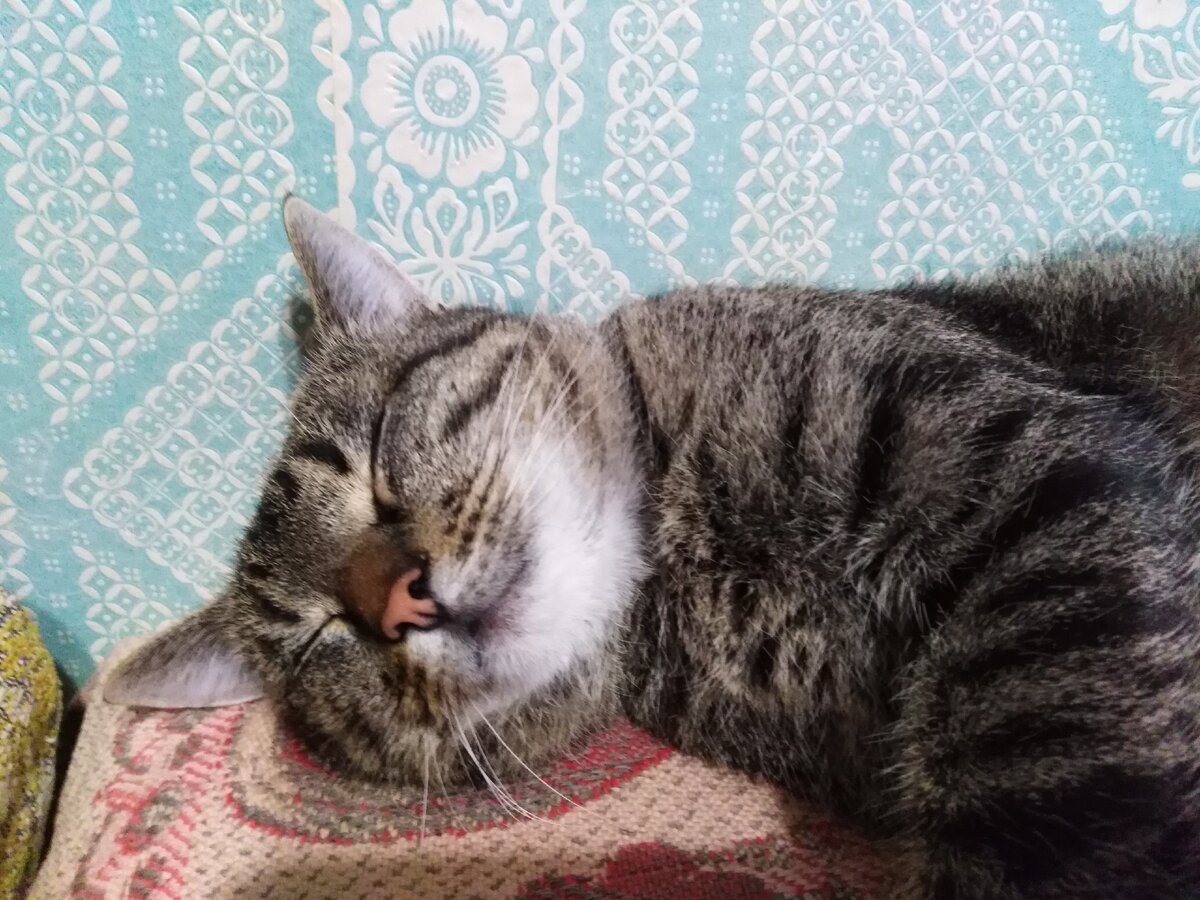 Василий отдыхает