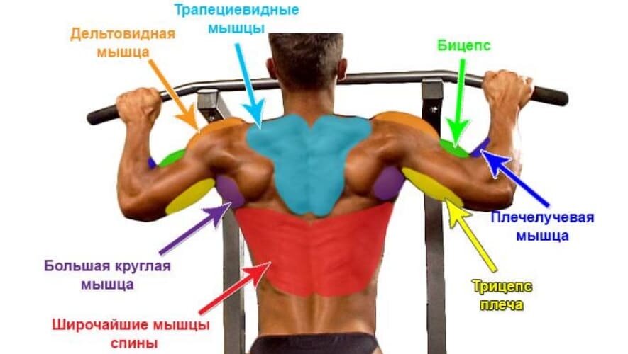 Подтягивания