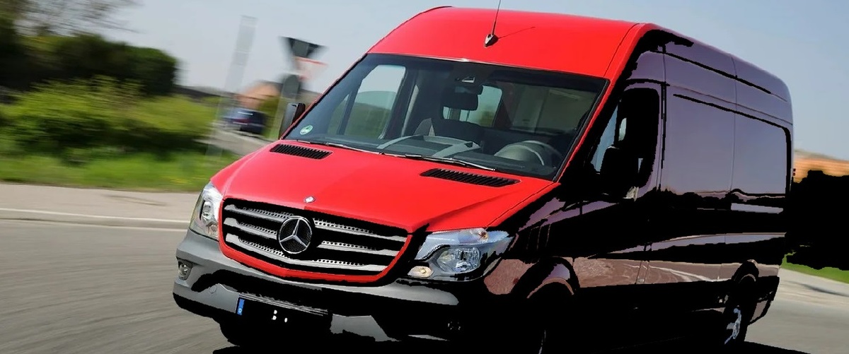 Фото из открытых картинок Яндекса.