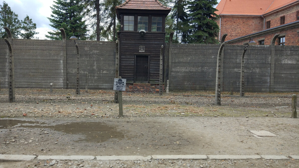 В стенах лагеря