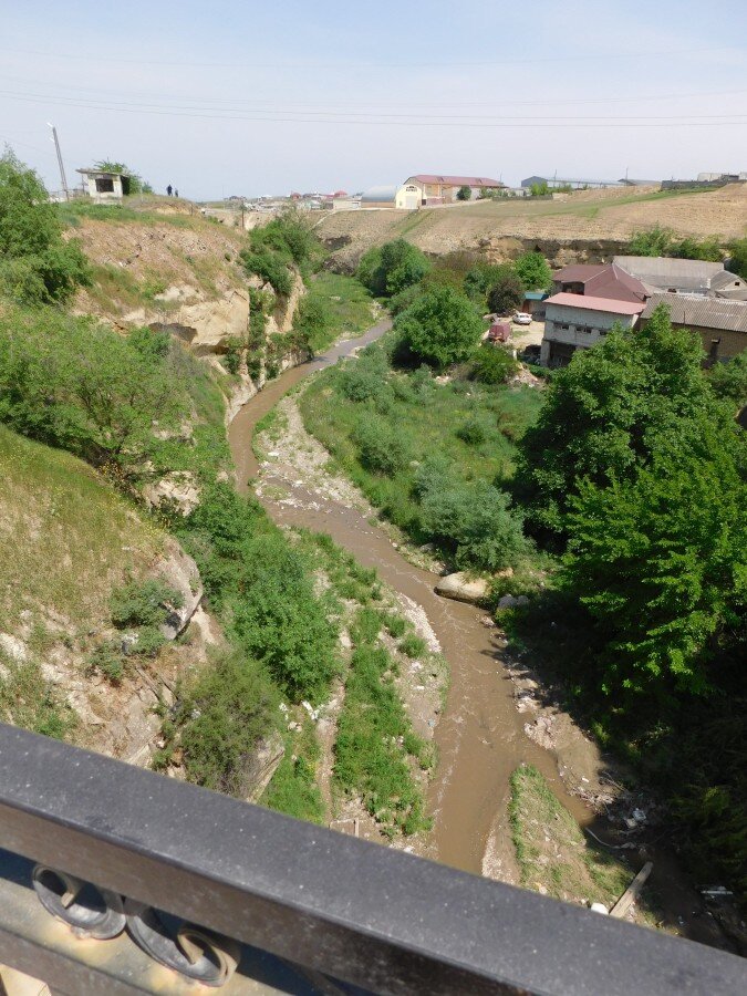   На склонах заросшего оврага раньше просматривались петроглифы 