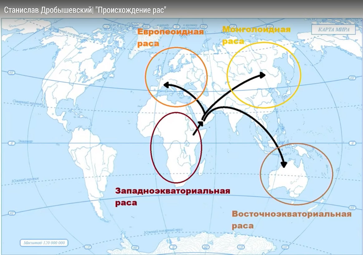 Общепринятая антропологическая схема тенденций миграций древних людей