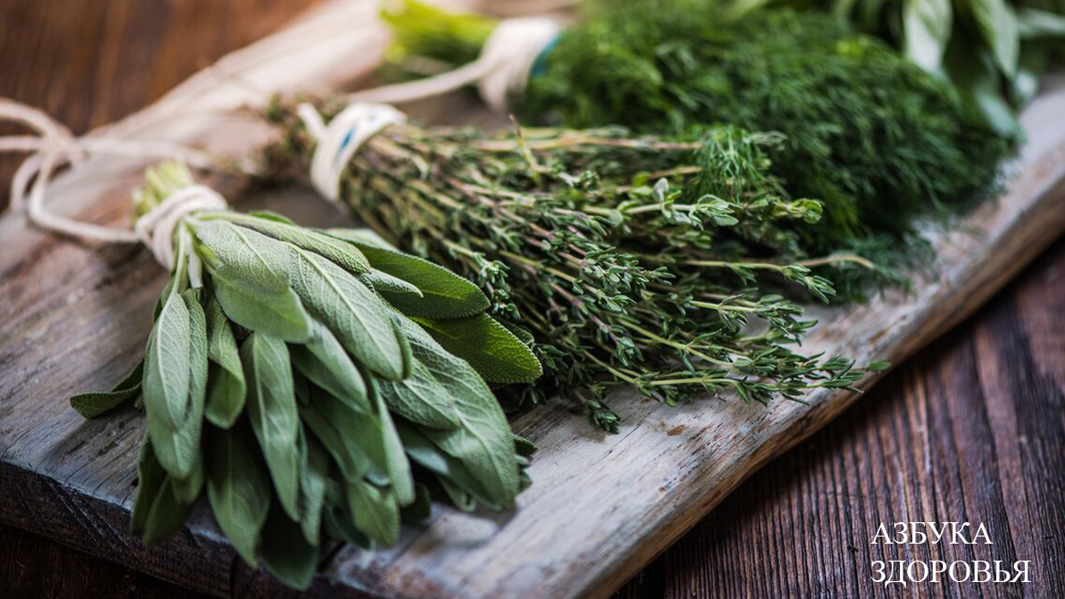 Лекарственные растения для тонуса