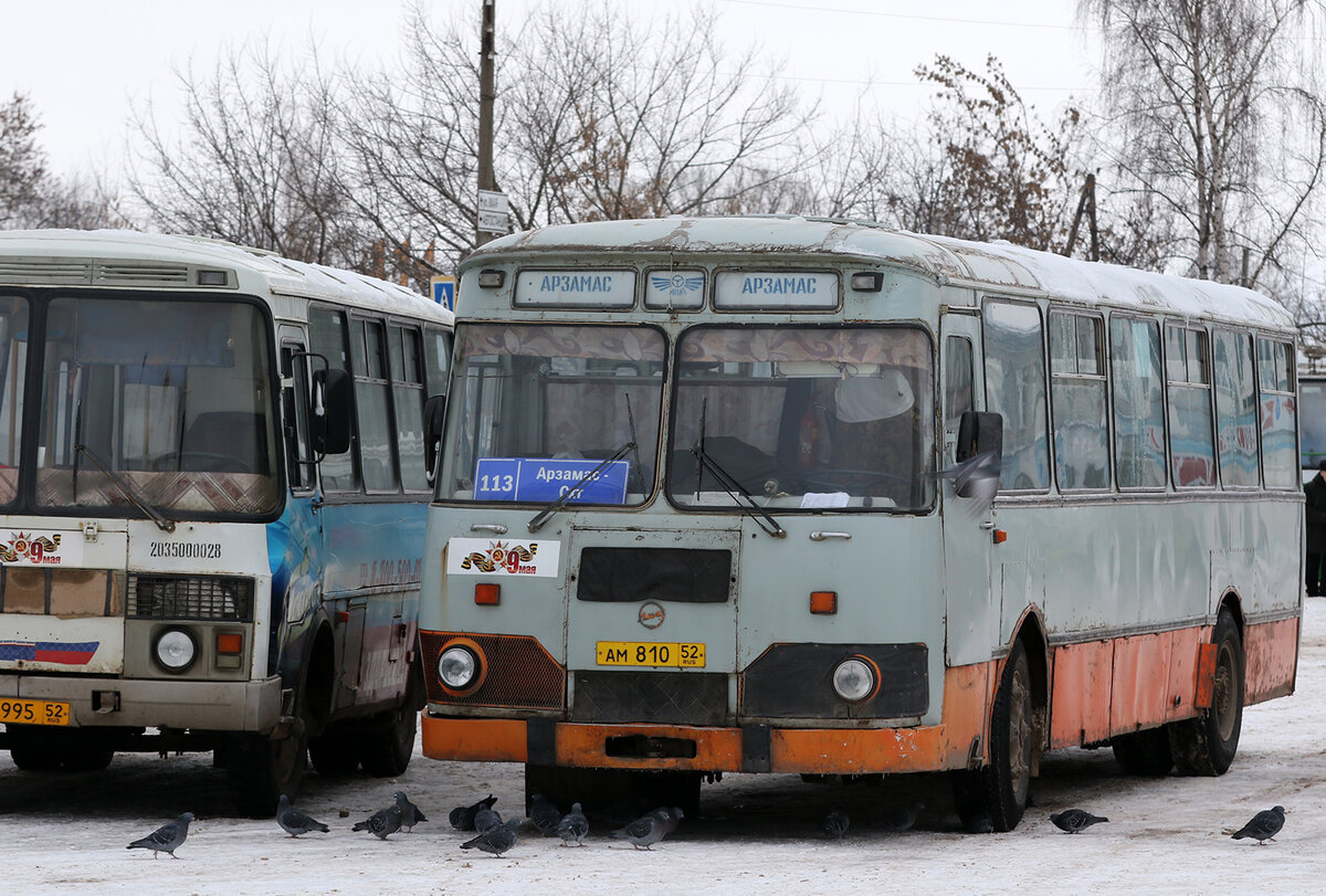 Автобусы в арзамасе фото