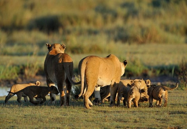 Фото в свободном доступе