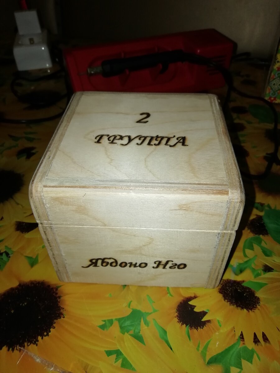 Моя первая работа