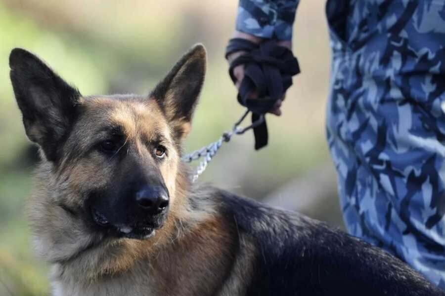 Фото для иллюстрации