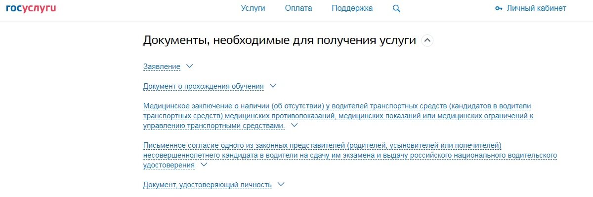 Так выглядит список документов на портале "Госуслуги"