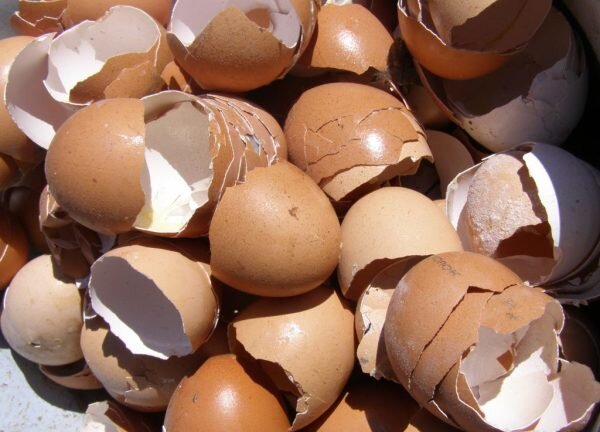 Фото с сайта http://osobnjak.com/