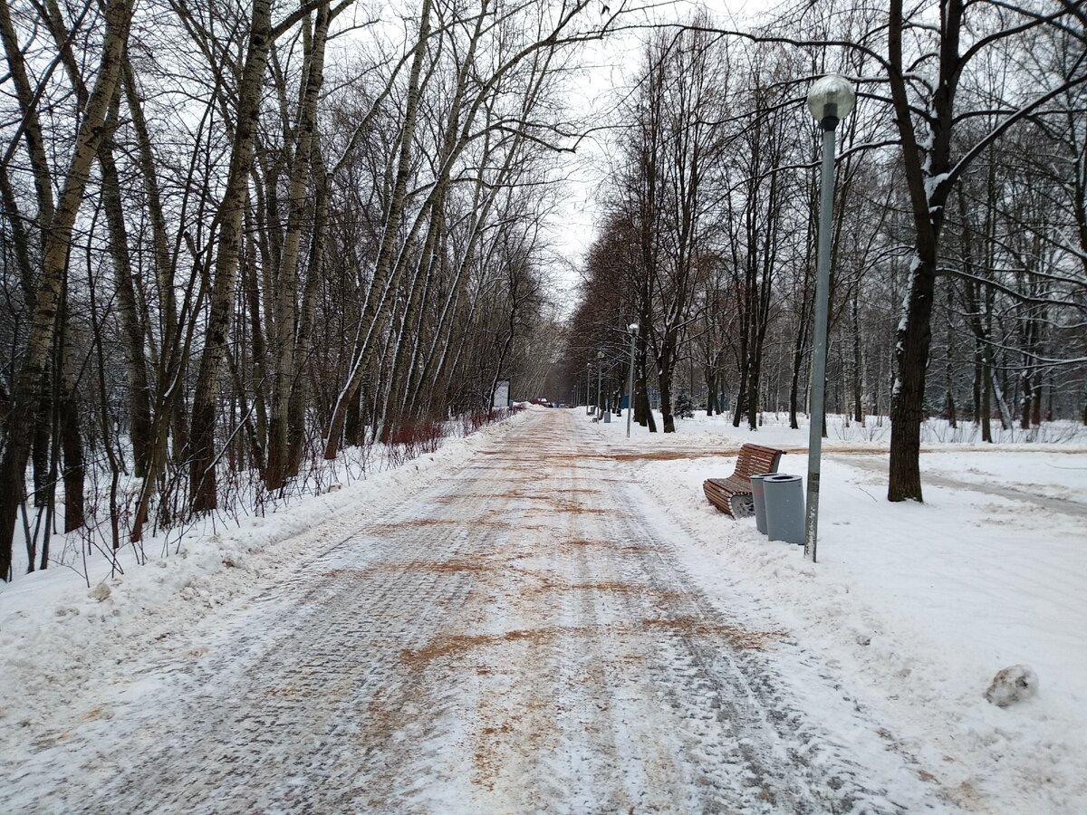 Утренняя ходьба с палками меня заряжает на весь день.