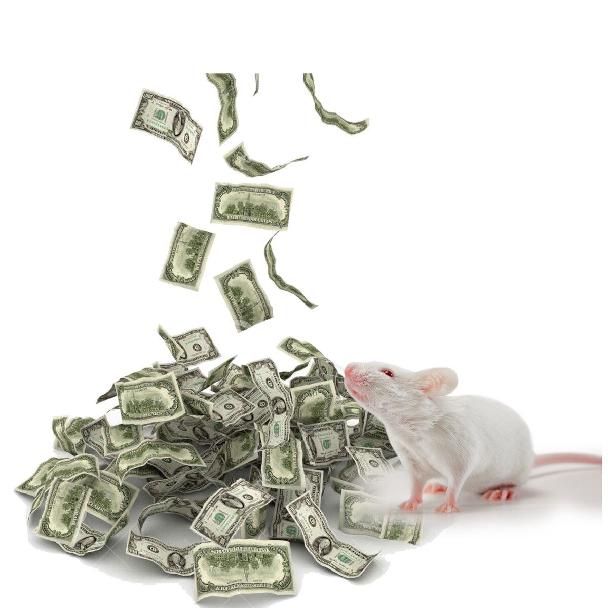  Год Финансового роста - Год Белой Металлической Крысы.