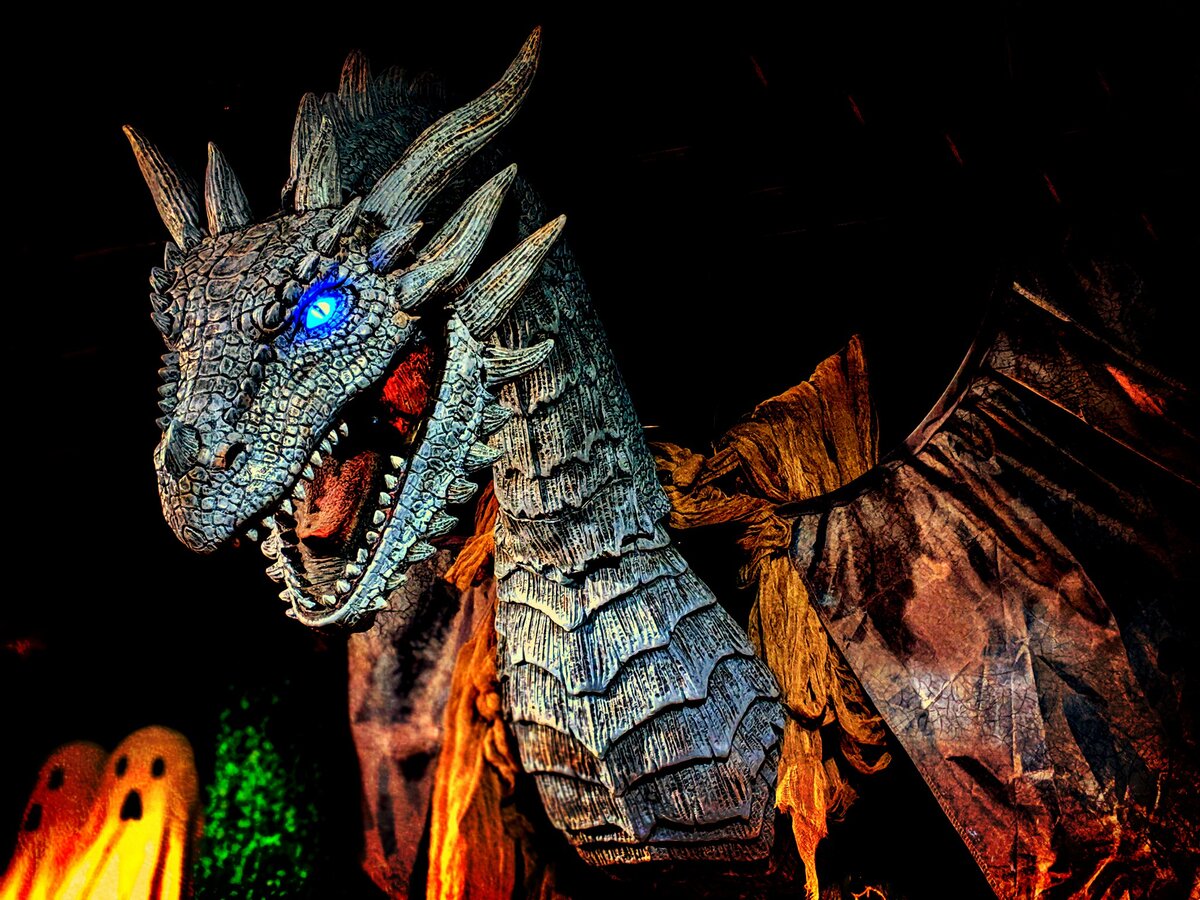 Фото из Flickr / Автор Bennilover / "Come not between the dragon and his wrath..."