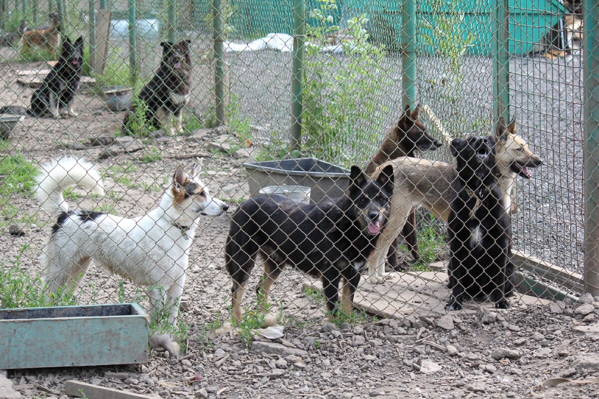 Вот они - неликвид черно-белый...
