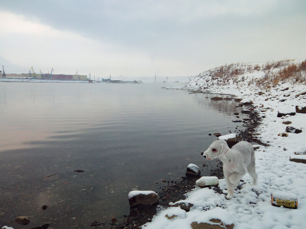 норильск озера