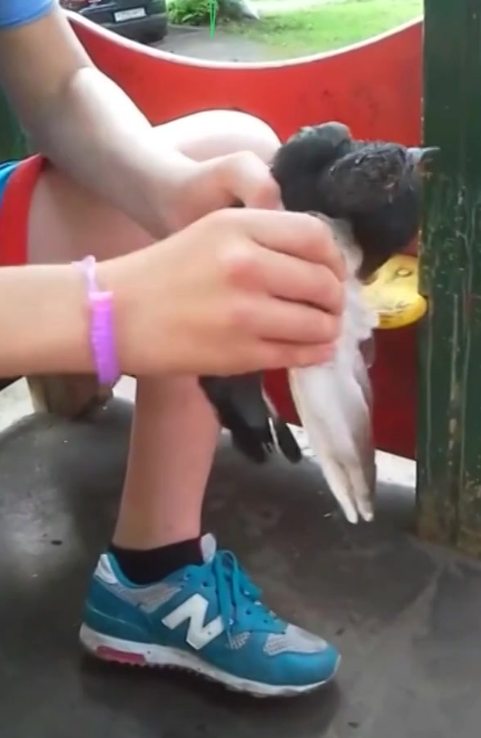 Фото взято из открытых источников Яндекс.