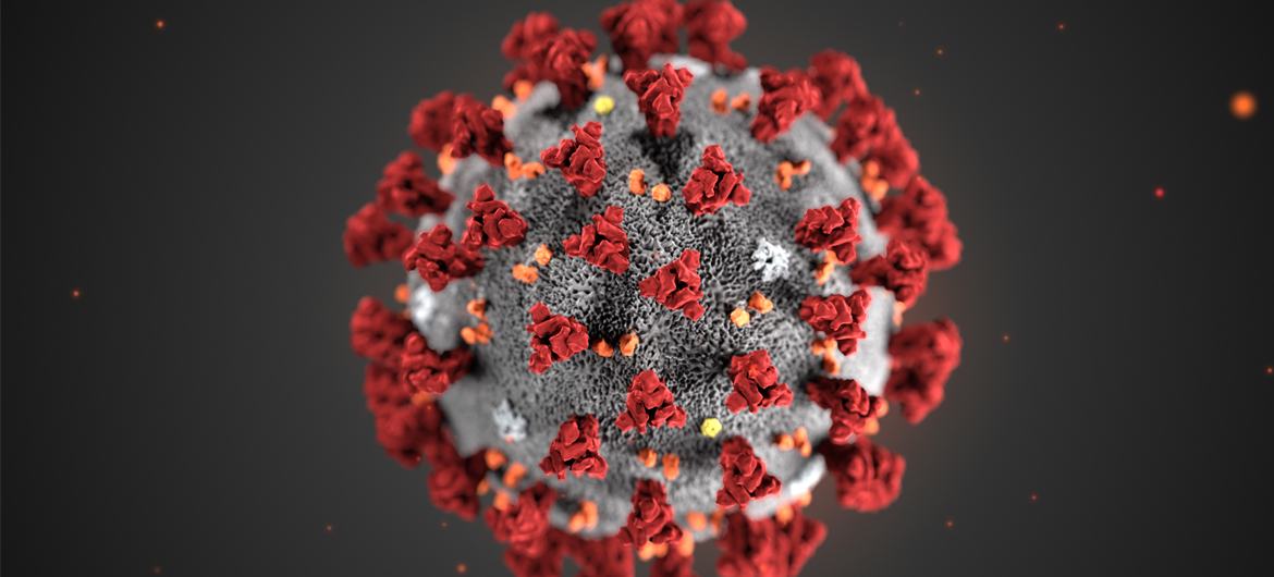 Фото: cdc.gov