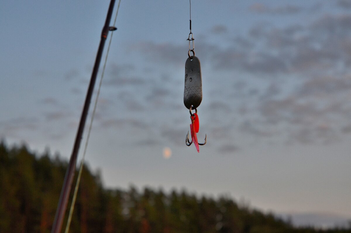 Это не та блесна, о которой идет речь в материале. Но похожа!  Вот если ее растянуть в стороны до ромба - будет та самая!