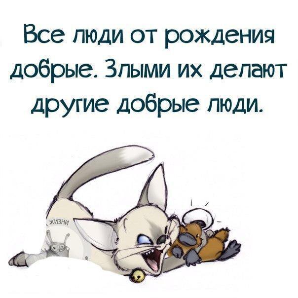 из яндекс картинок