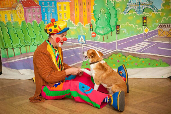 Фото из открытого доступа