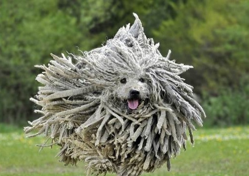 Взято: яндекс картинки