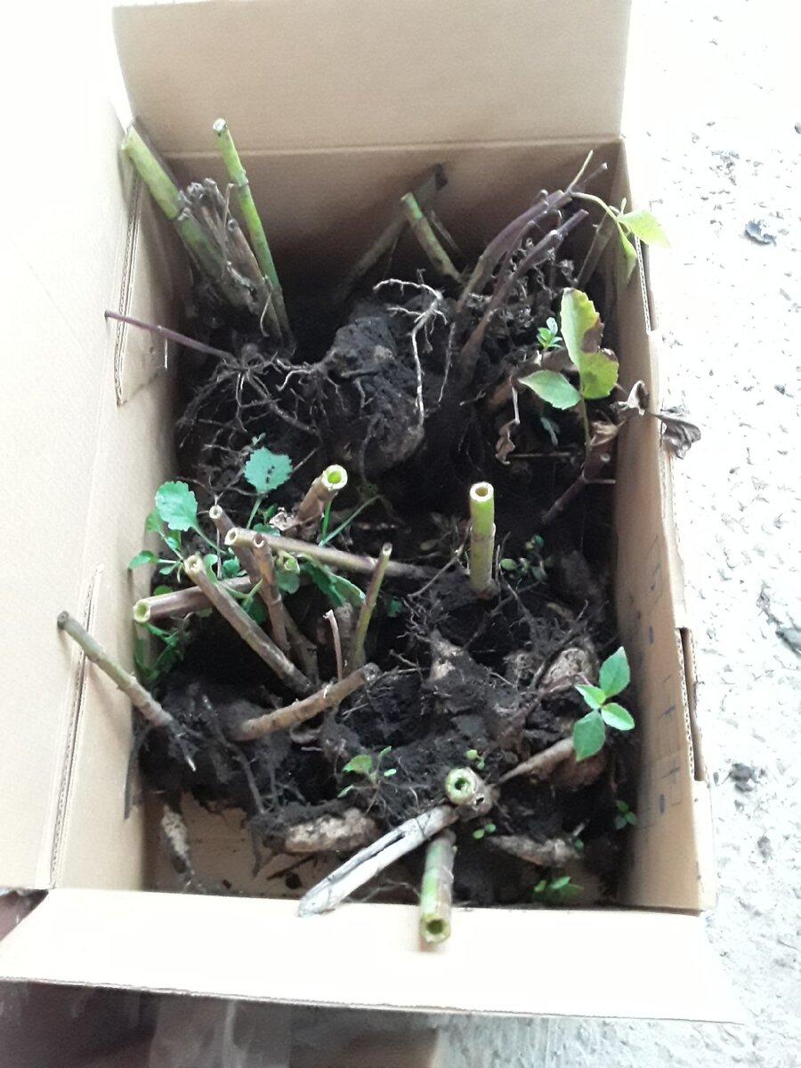 Эксперимент по хранению в экстремальных условиях. Повторять не рекомендуется