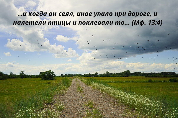 Если упало "при дороге" - плода не даст, его кто-нибудь утащит