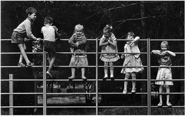 Фото: Яндекс Картинки