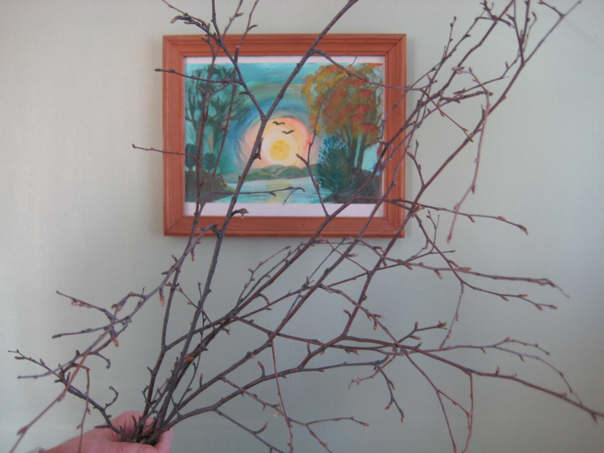 Зачастую веточки валяются прямо на снегу - сломленные порывом ветра...