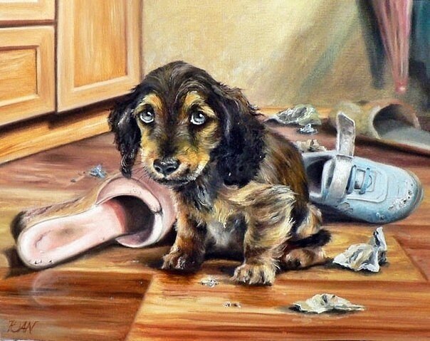 Ох уж эти таксы...