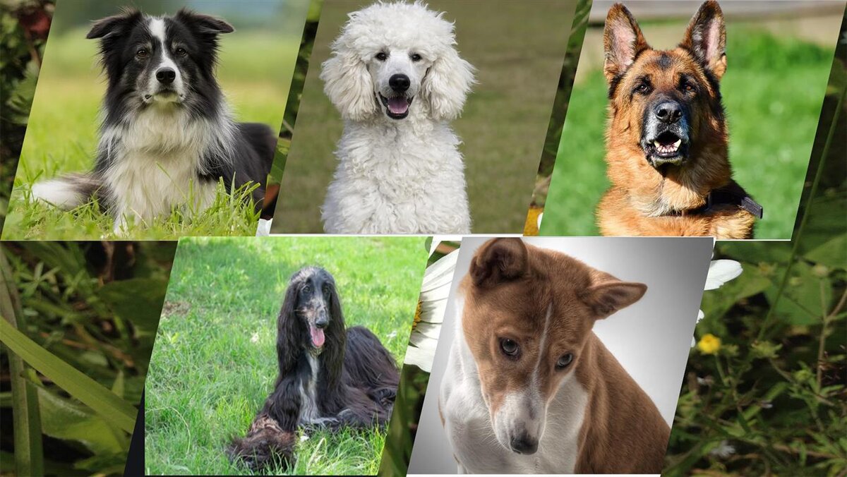 Буду благодарна, если поставите лайк и подпишетесь!  Вы поможете развитию канала