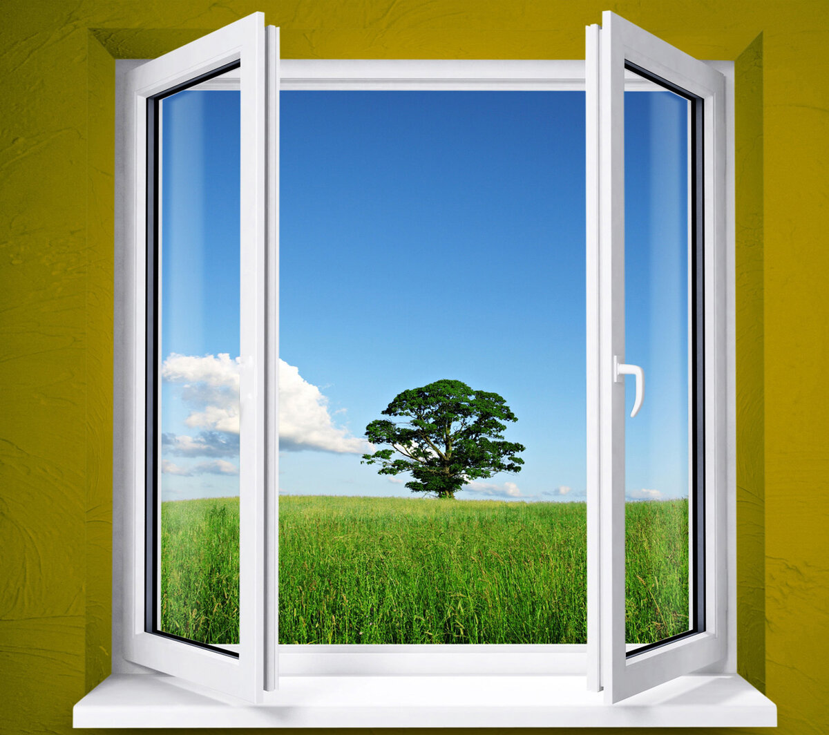 открытое окно