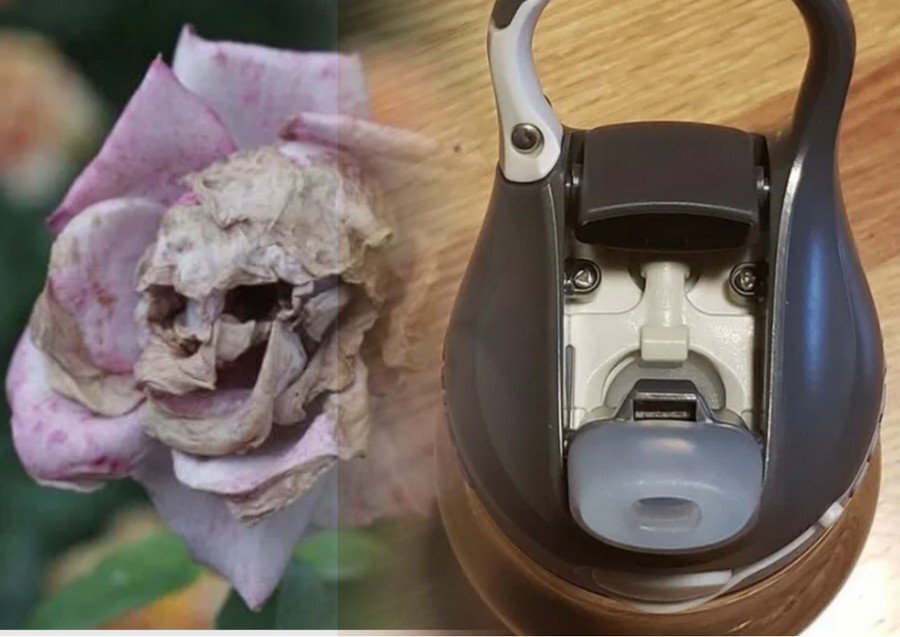 Лица в вещах. Лица в неодушевленных предметах. Образ лица в предметах. Лица в предметах. Визуальная парейдолия.