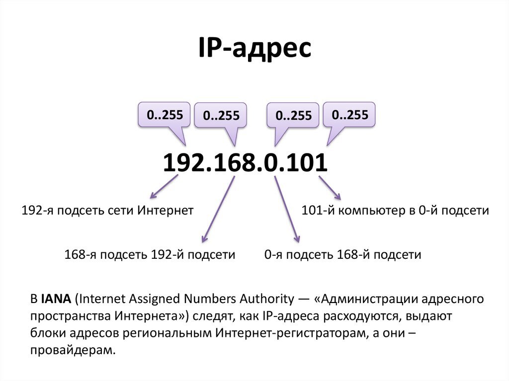 Компоненты сетей ip адрес поурочный план