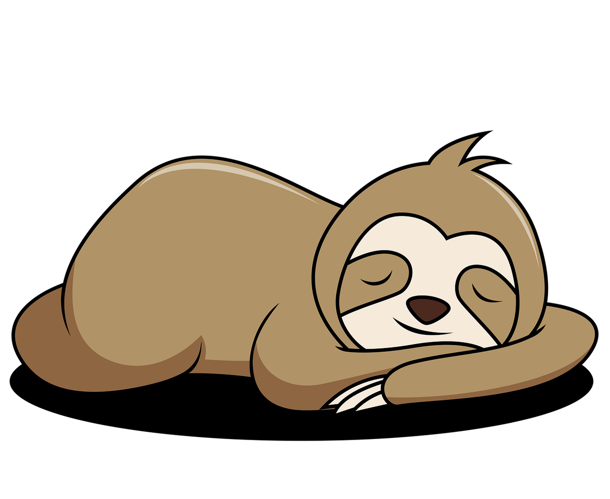             Ленивцы спускаются с дерева только тогда, когда им надо на горшок, раз в неделю!