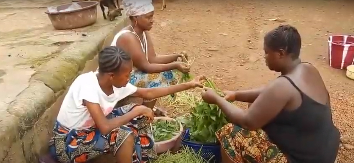 Женщины отбирают растительную пищу 