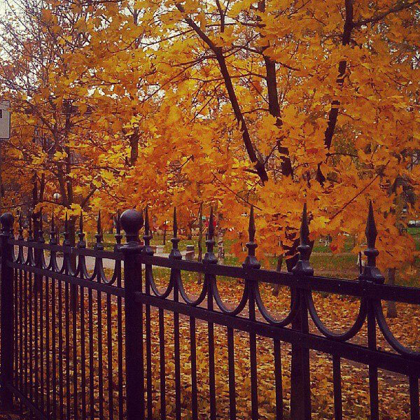 Фото автора devilboar