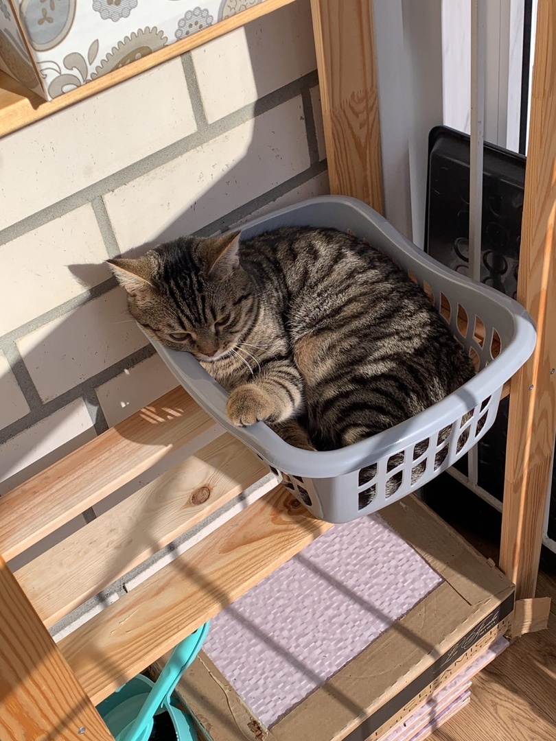 отличное место ещё и на солнышке.