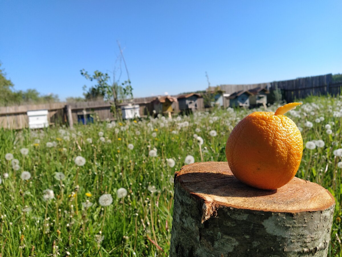 Душевное дело