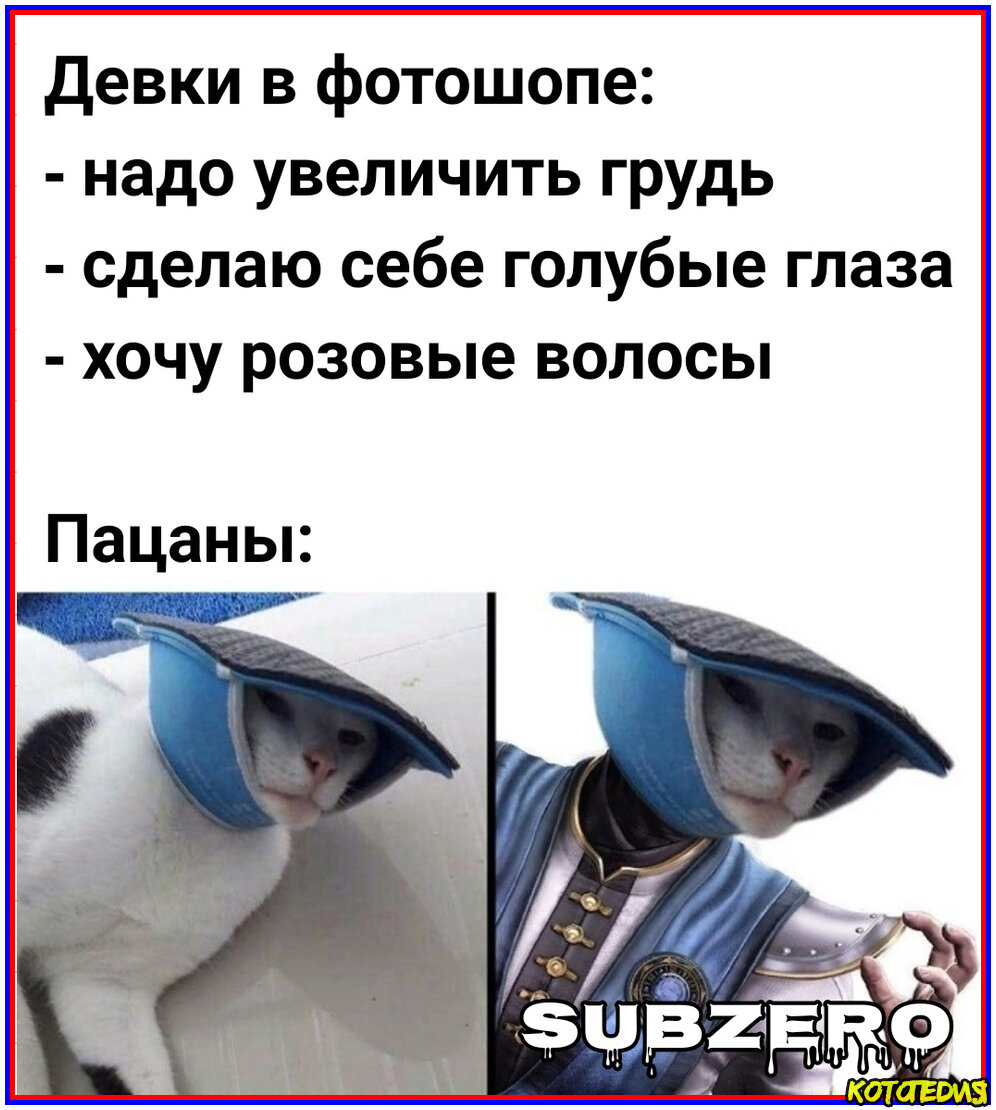 Мемы про котов до слез