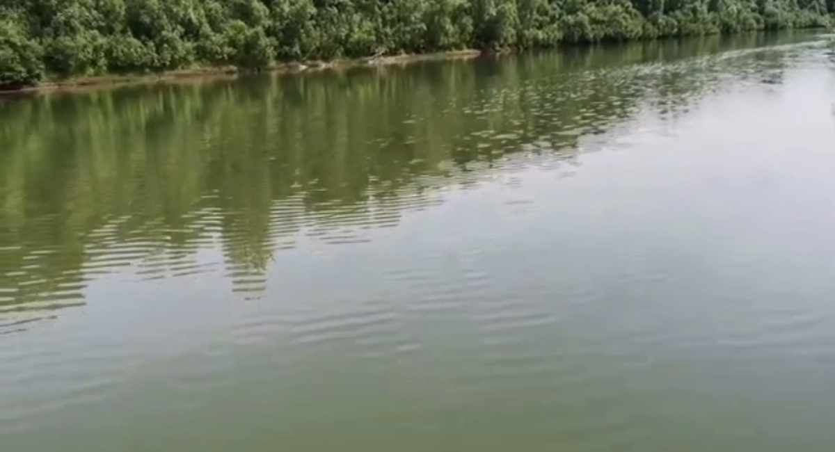  Фотография от  24.06.2020