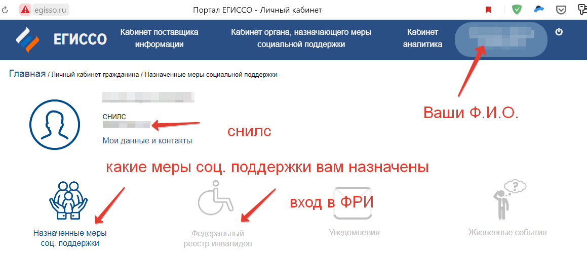 Назначенные меры. ЕГИССО личный кабинет. ЕГИССО.ру. Портал ЕГИССО. ЕГИССО личный кабинет через госуслуги.