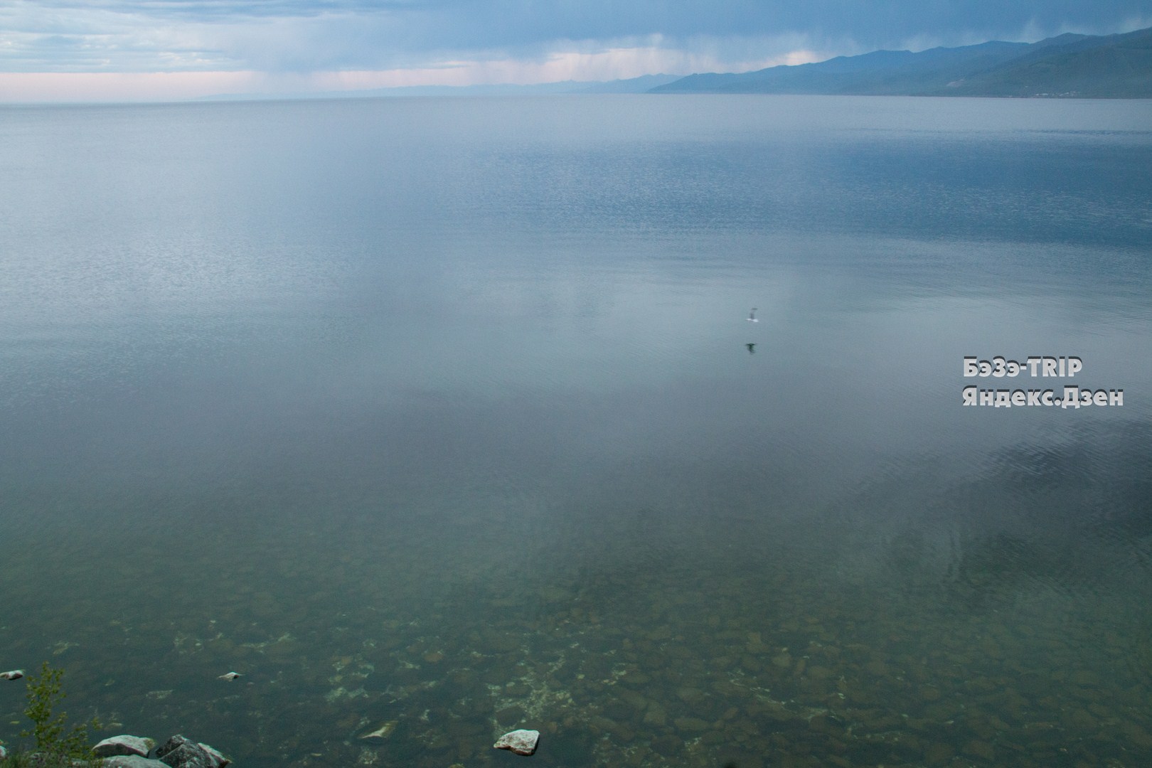 Можно пить воду из байкала. Пить воду из Байкала. Выпил воды Байкальской. Выпейте воды Байкальской. Можно ли пить воду из озера Байкал.