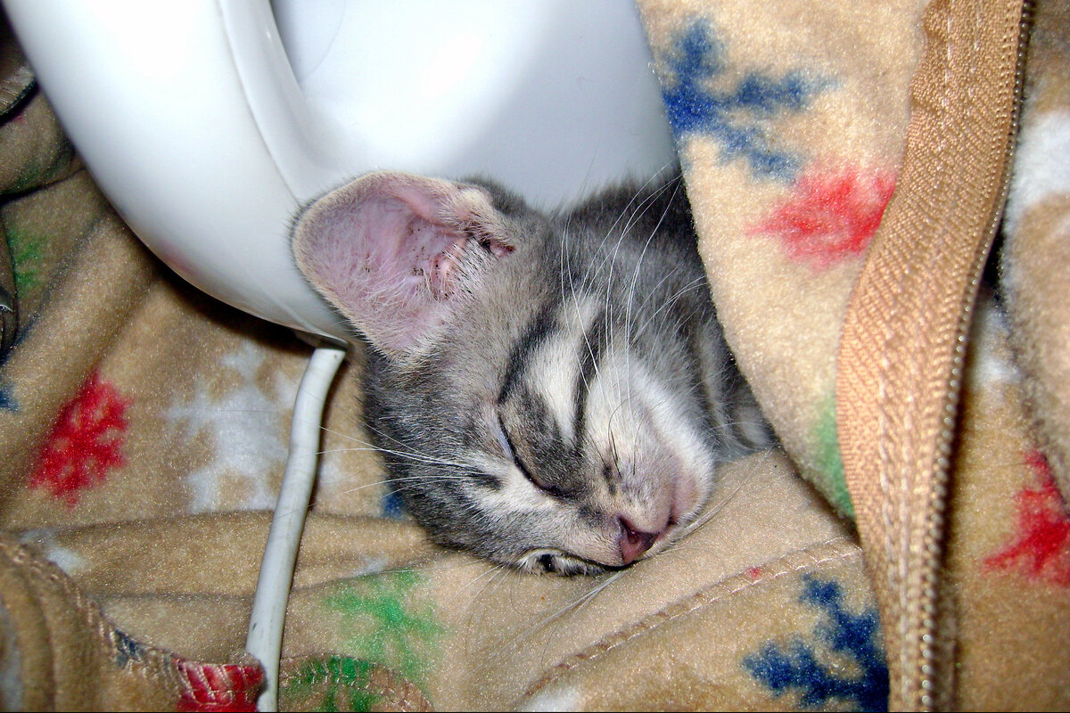 Главный герой моего повествования. Правда, в этой части мы с ним ещё не встретимся. (Фото из личного архива автора).