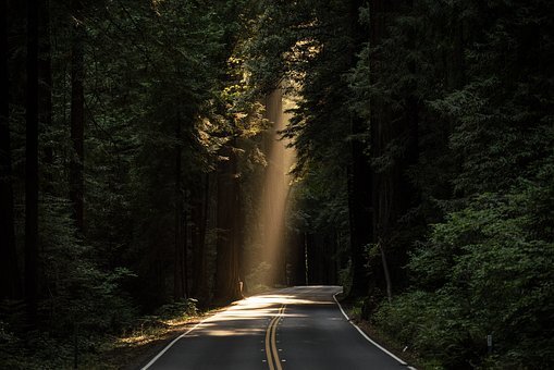 Фото: Pixabay.com