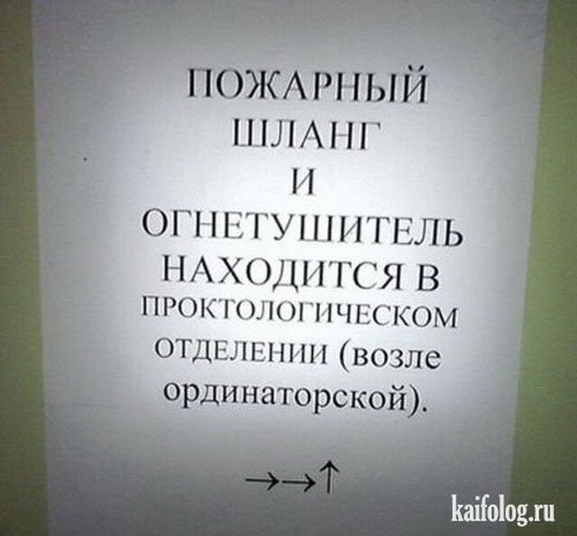 источник фото https://kaifolog.ru/