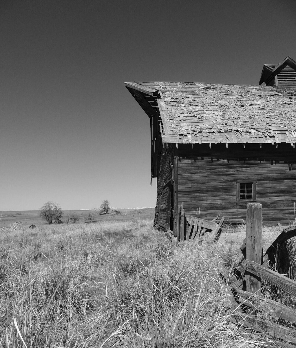 Фотография из свободного источника.