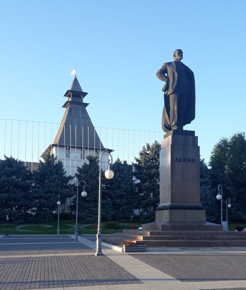 Ели выросли (фото автора)