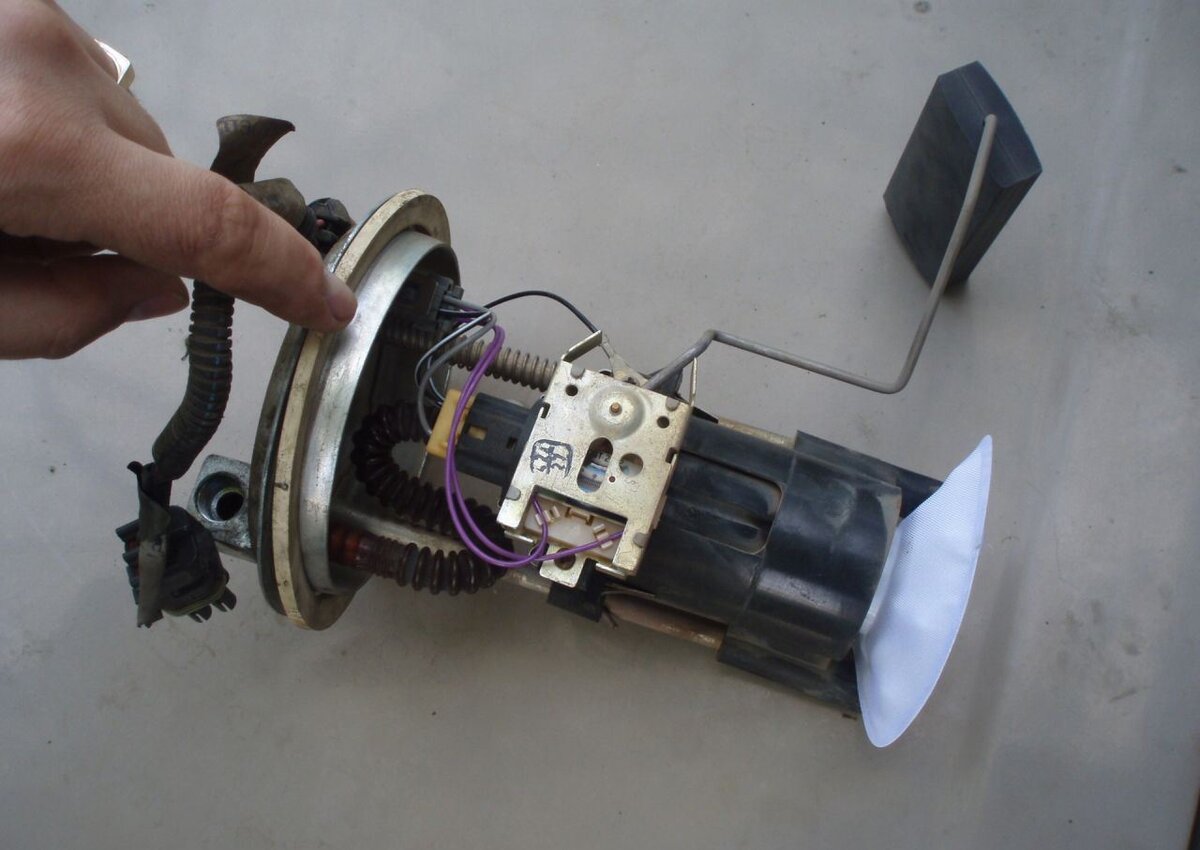 Картинка из интернета 