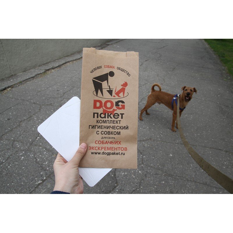 Биоразлагаемые пакеты. Вы часто такими пользуетесь? (фото из интернета)