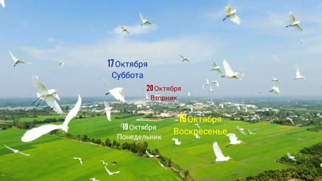 Астролог Джйотиш Севда Абдуллаева. Контакты, для получения моей личной консультации, анализа вашей натальной карты: +375296856956 WhatsApp, Viber, Telegram